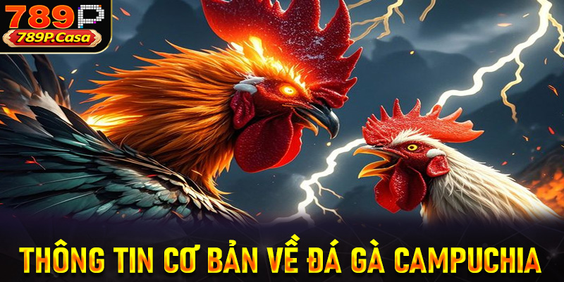 Sơ lược thông tin cơ bản về sảnh đá gà Campuchia tại 789P
