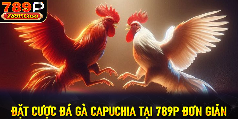 Đặt cược đá gà Capuchia tại 789P đơn giản 