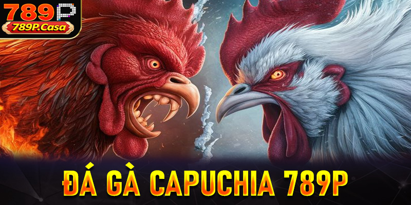 Đá gà Campuchia