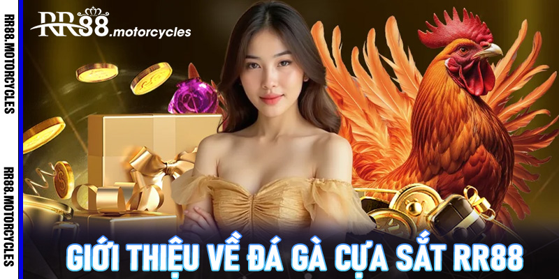 Giới thiệu về đá gà cựa sắt RR88