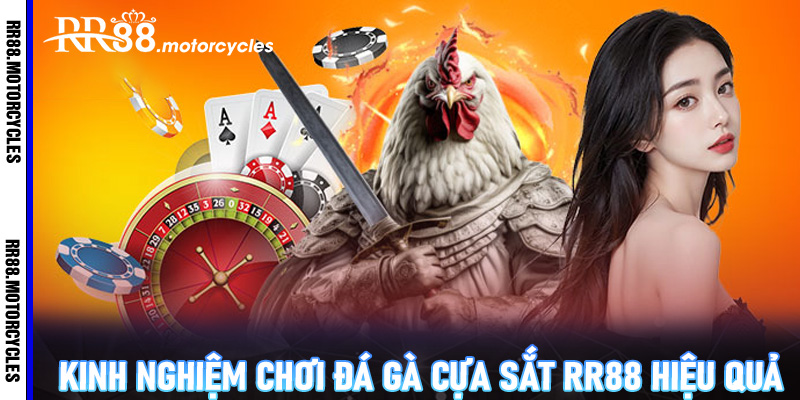 Kinh nghiệm chơi đá gà cựa sắt RR88 hiệu quả