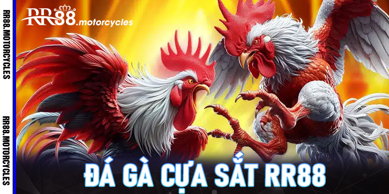 Đá gà cựa sắt RR88