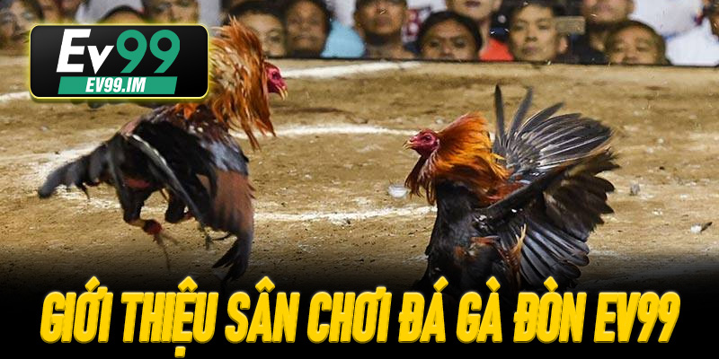 Giới thiệu Sân Chơi Đá Gà Đòn EV99