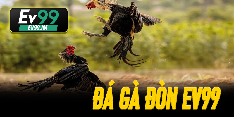 Đá Gà Đòn EV99